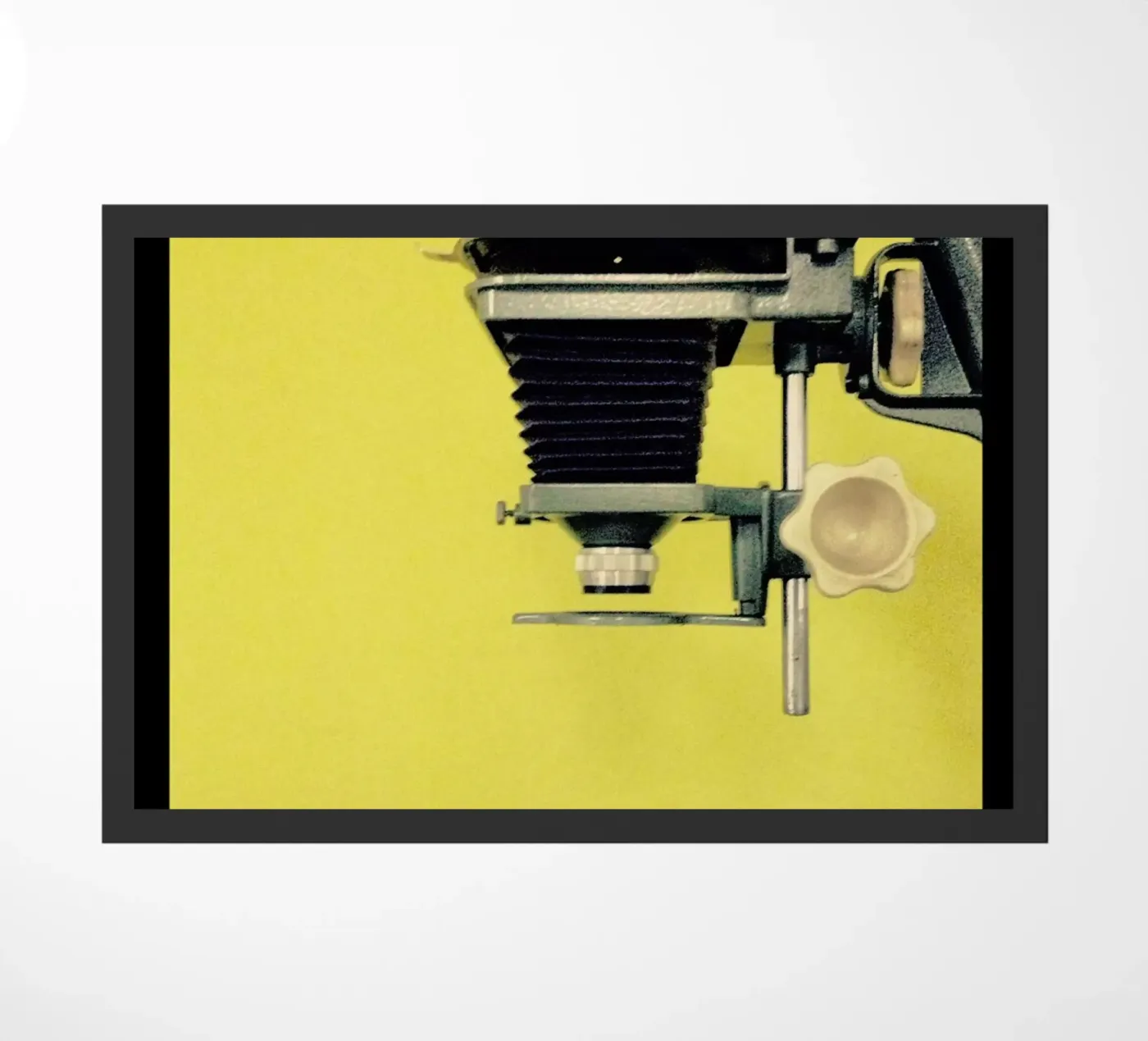 Half Tone Studio zerbino da Ballack Art House