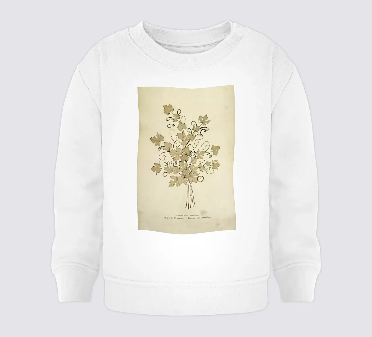 Flowers from Jerusalem Boulos, 1890s -Meo felpa neonato da Artokoloro Quint Lox Ltd