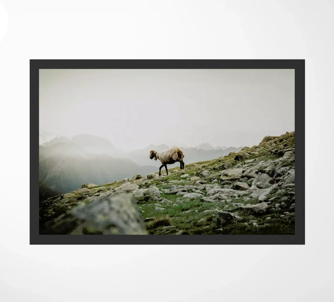 DSC2125 deurmat van Dustin Janko