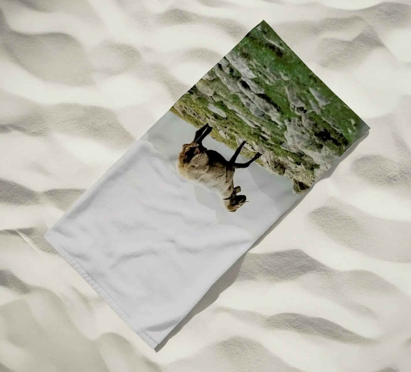 DSC2125 telo mare da Dustin Janko