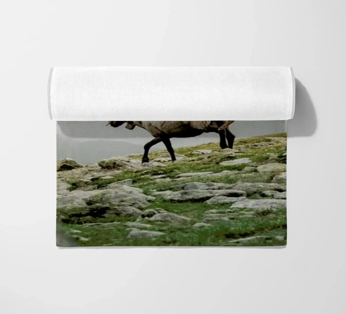 DSC2125 telo mare da Dustin Janko