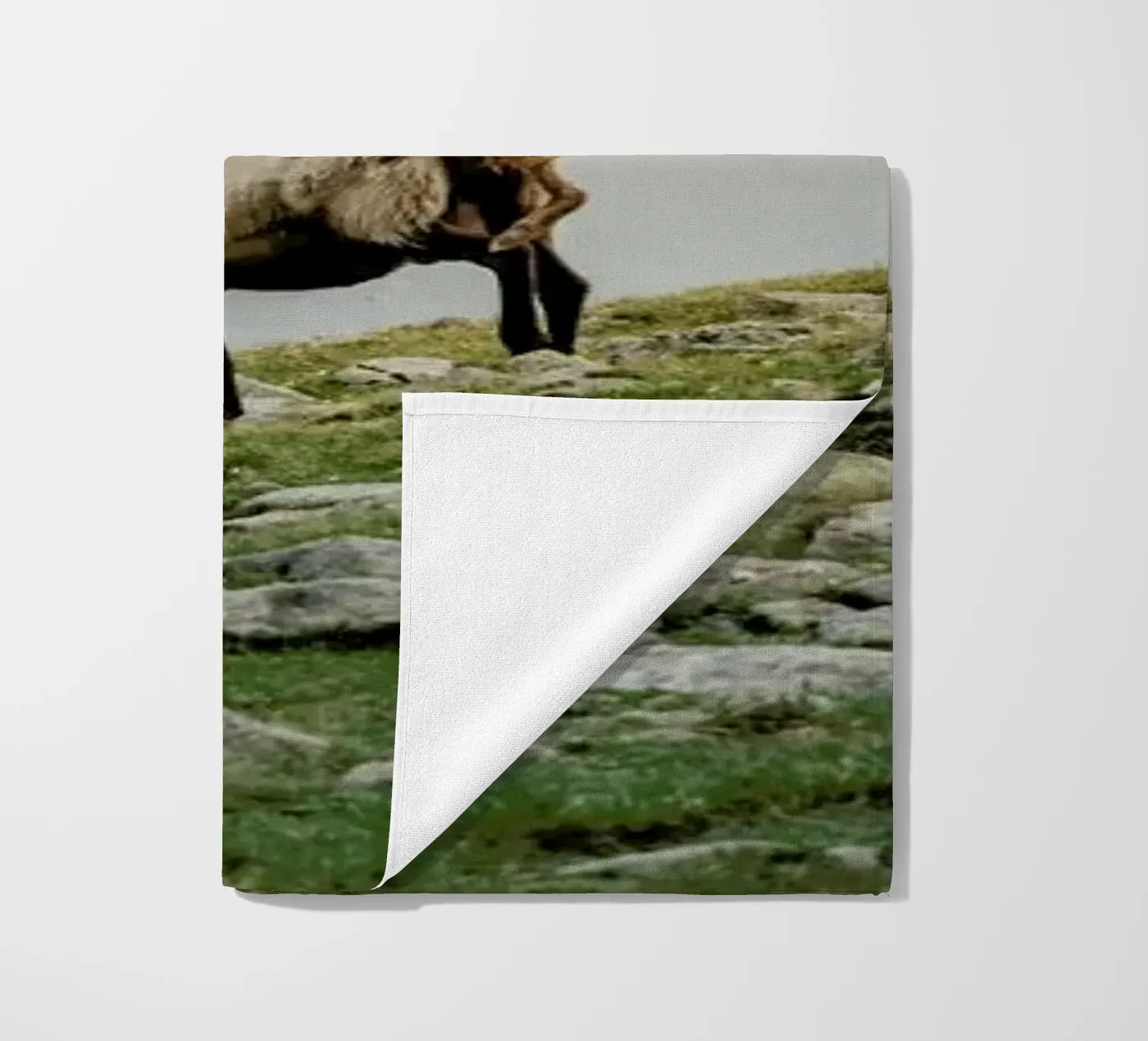 DSC2125 telo mare da Dustin Janko