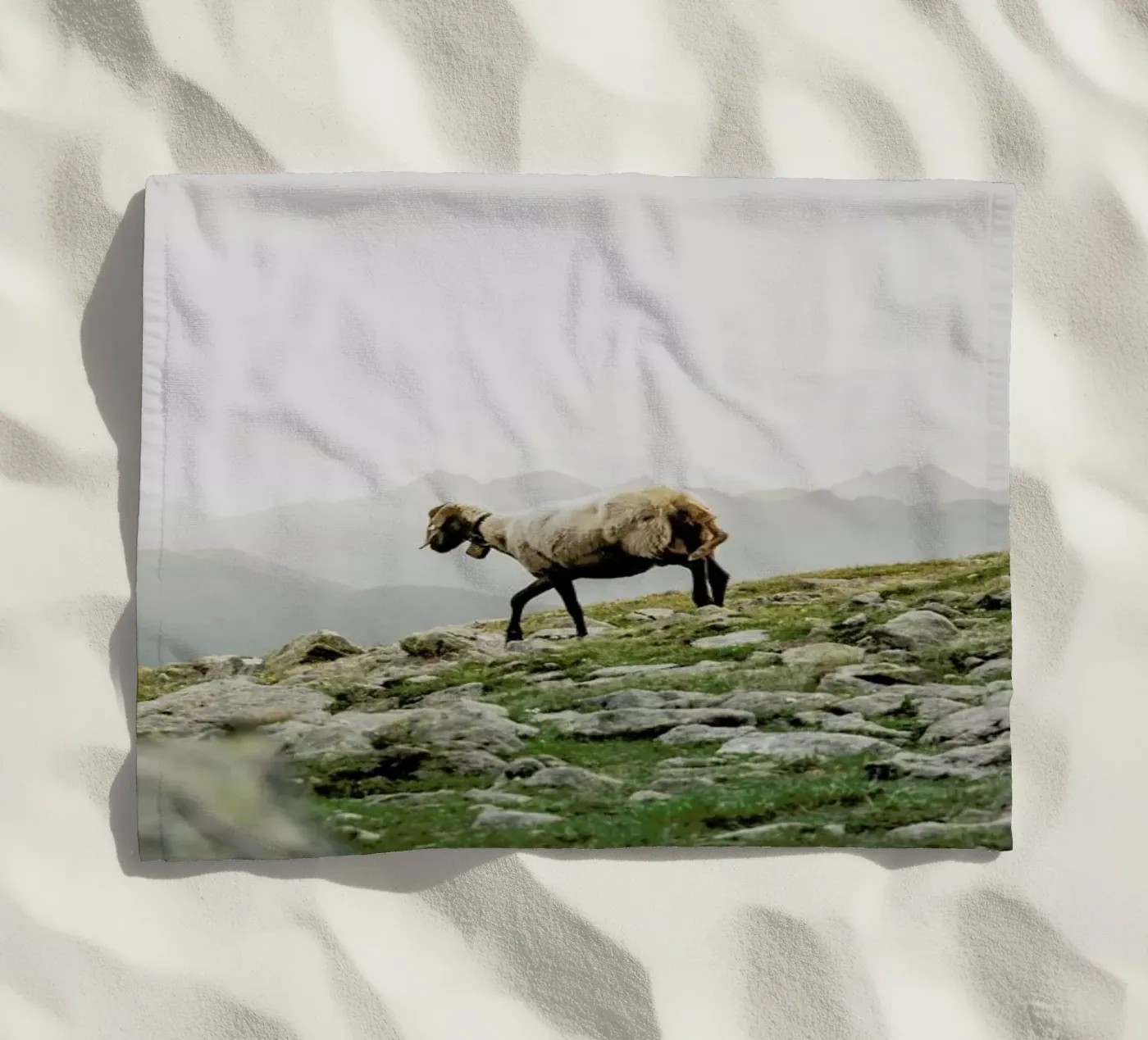 DSC2125 telo mare da Dustin Janko