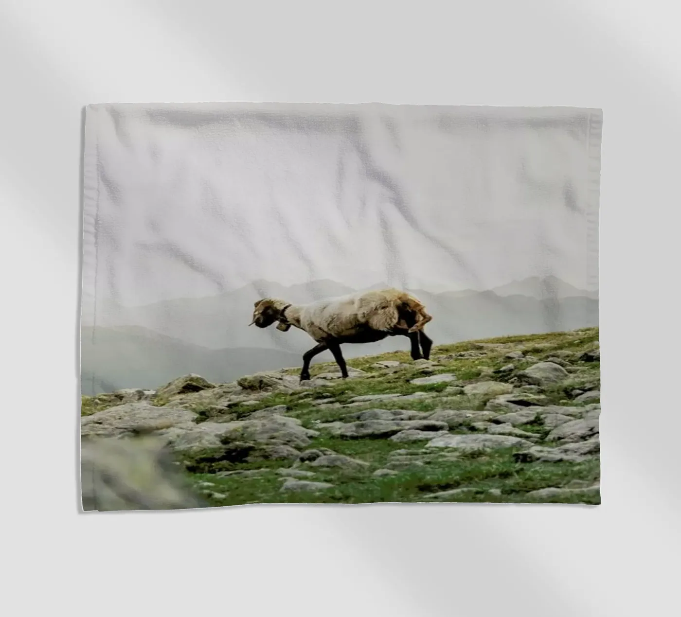 DSC2125 telo mare da Dustin Janko