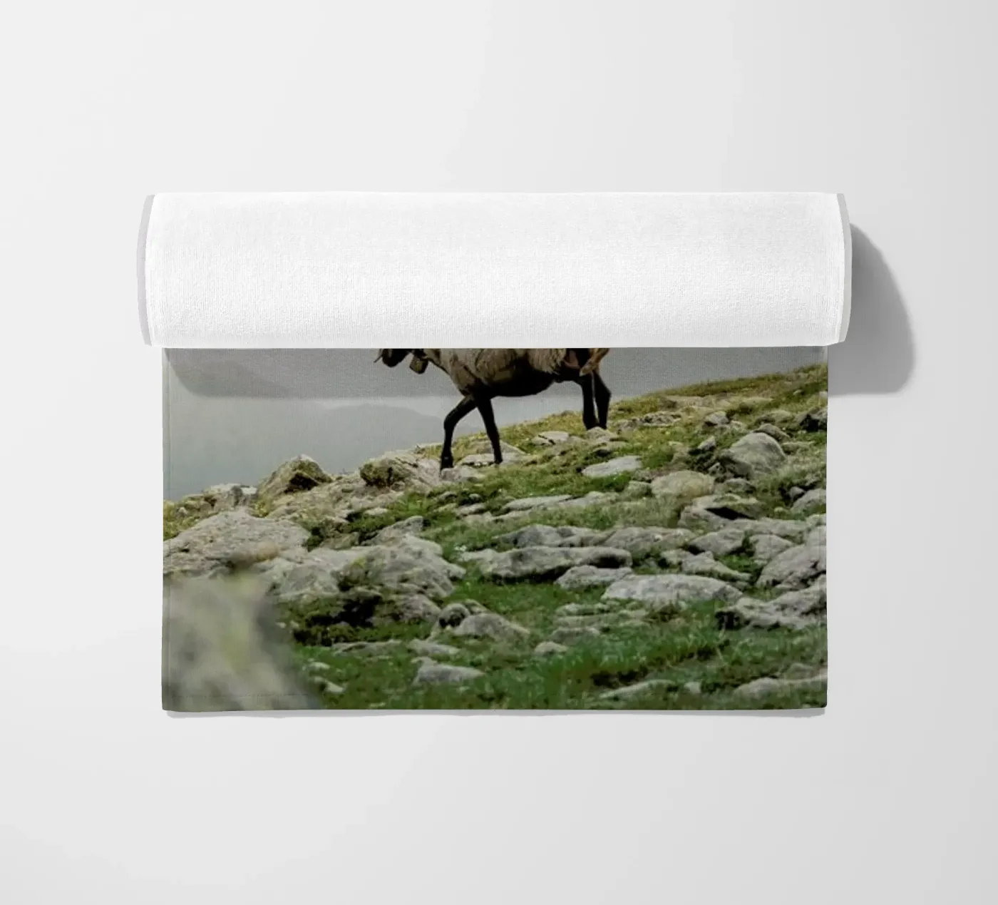 DSC2125 telo mare da Dustin Janko