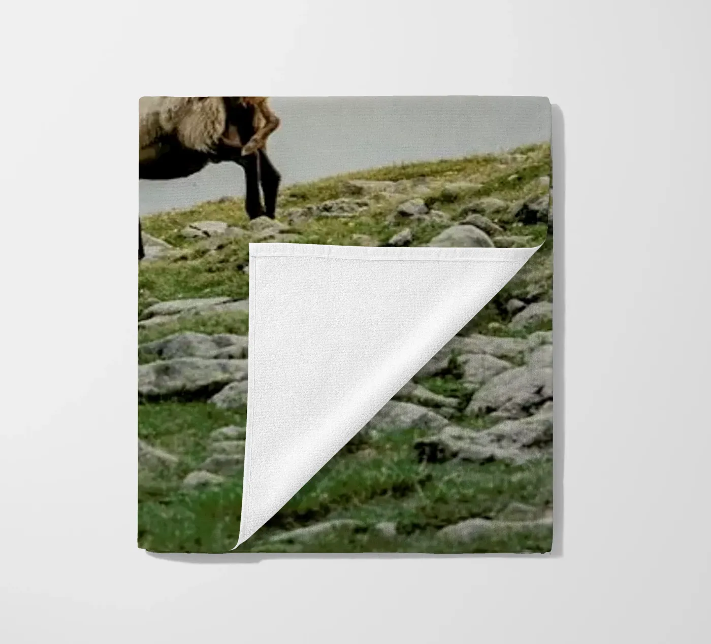 DSC2125 telo mare da Dustin Janko