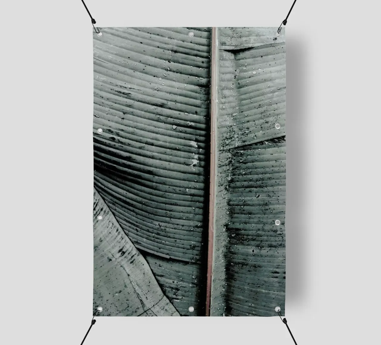 Beach Palm Patterns 8 telo in pvc da Chris Abatzis