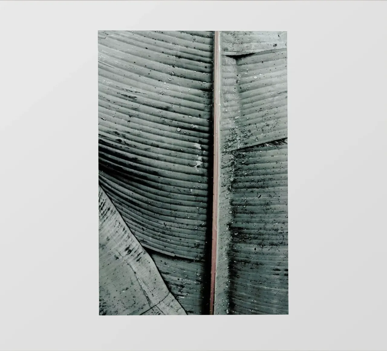 Beach Palm Patterns 8 telo in pvc da Chris Abatzis