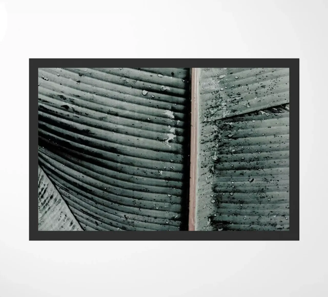 Beach Palm Patterns 8 zerbino da Chris Abatzis