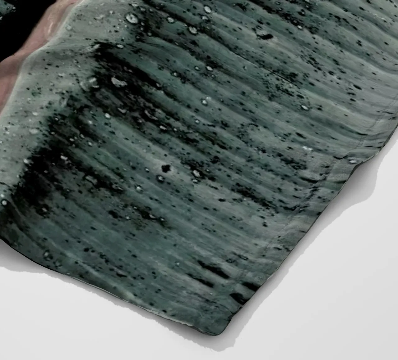 Beach Palm Patterns 8 coperta in pile da Chris Abatzis