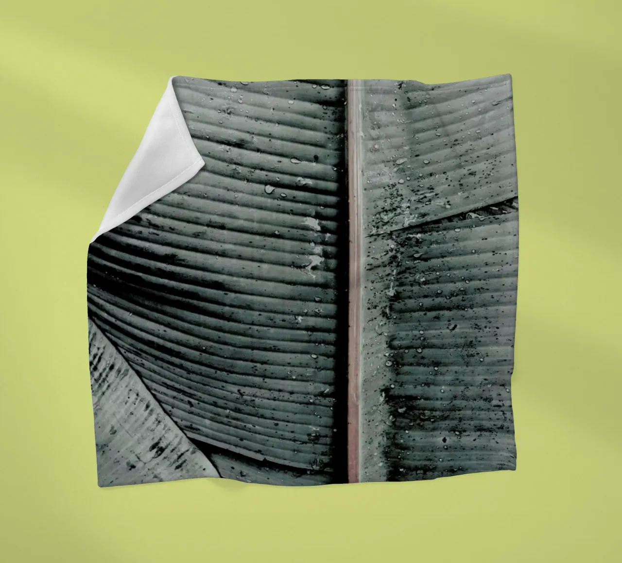 Beach Palm Patterns 8 coperta in pile da Chris Abatzis