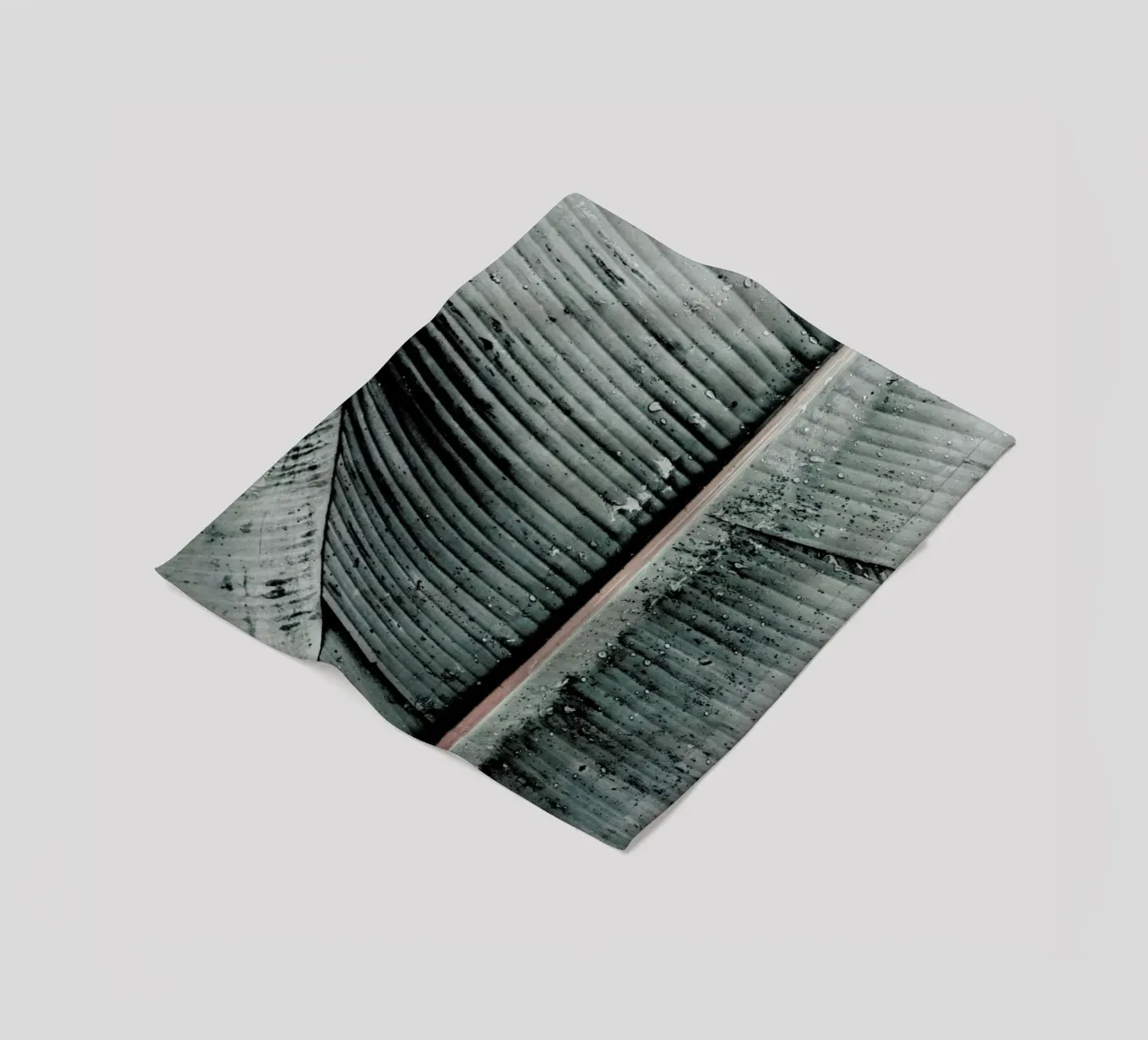 Beach Palm Patterns 8 Fleecedecke von Chris Abatzis