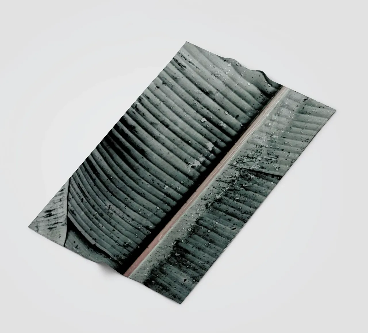 Beach Palm Patterns 8 Fleecedecke von Chris Abatzis