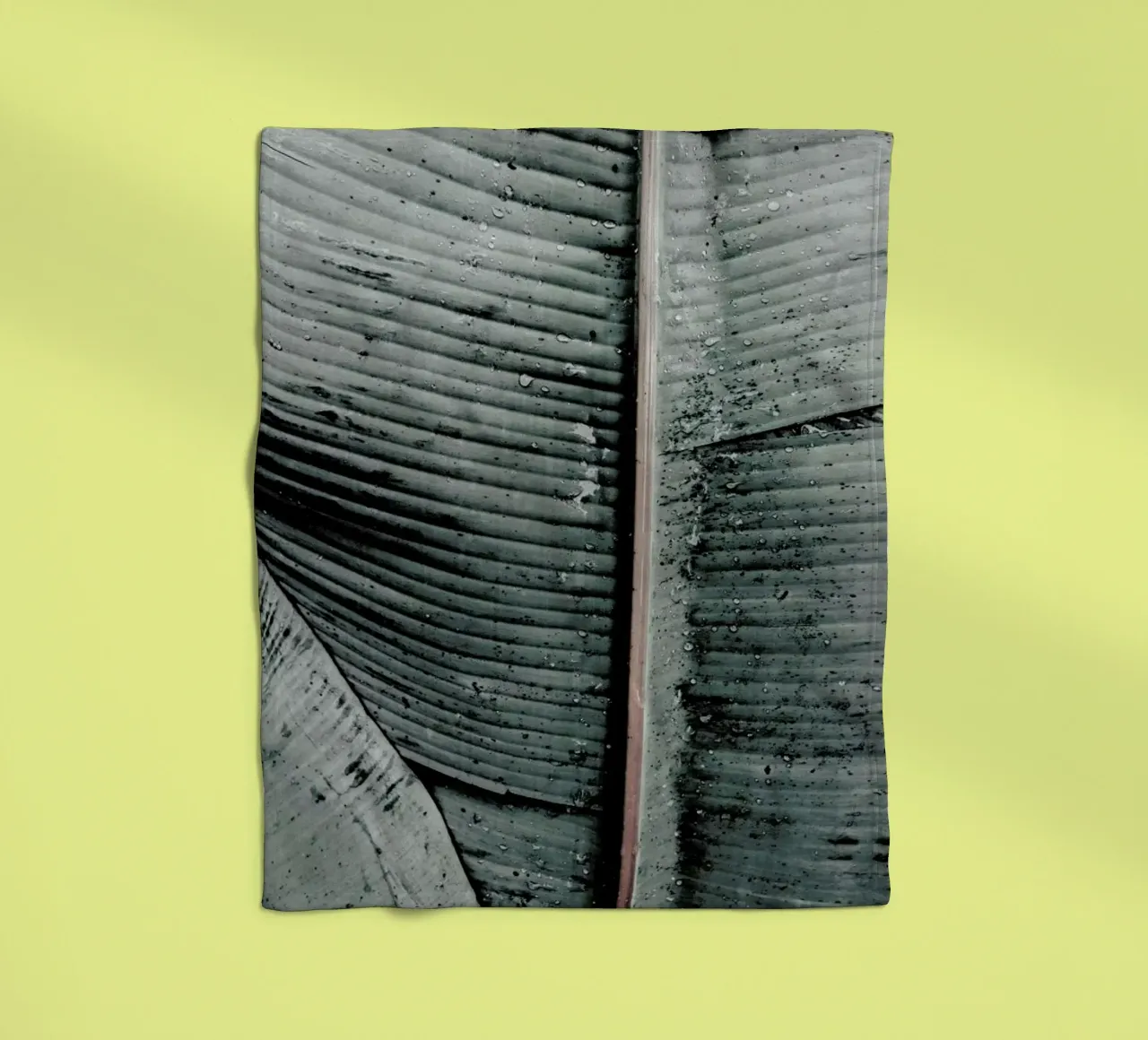 Beach Palm Patterns 8 coperta in pile da Chris Abatzis