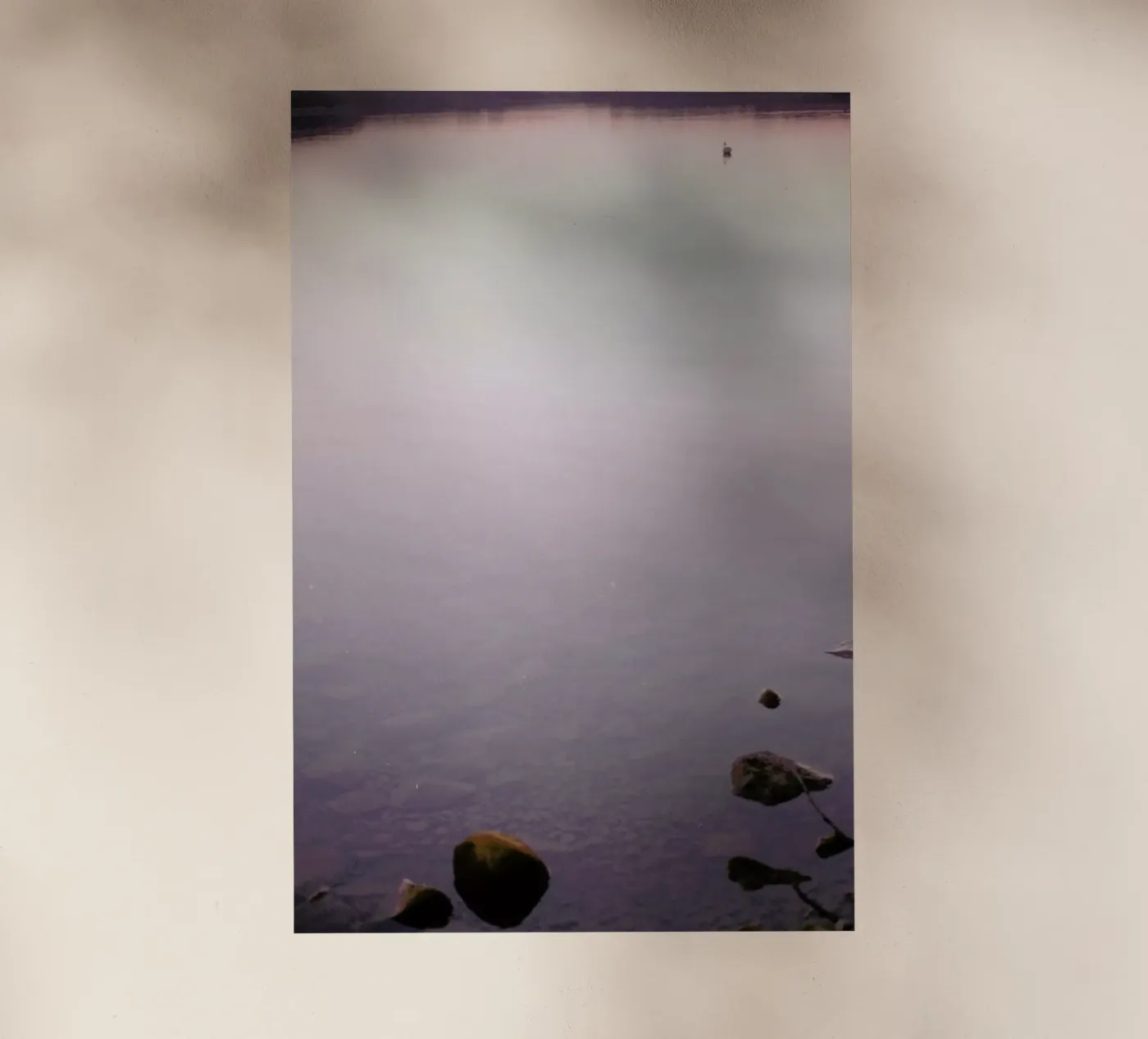 Neulich Abends… pellicola backlit da Picture On The Fridge