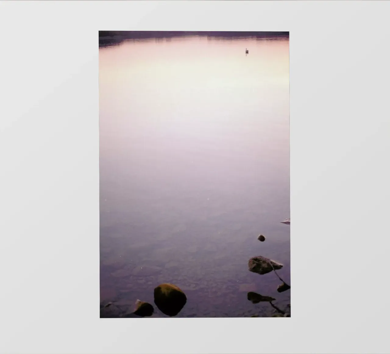 Neulich Abends… pellicola backlit da Picture On The Fridge