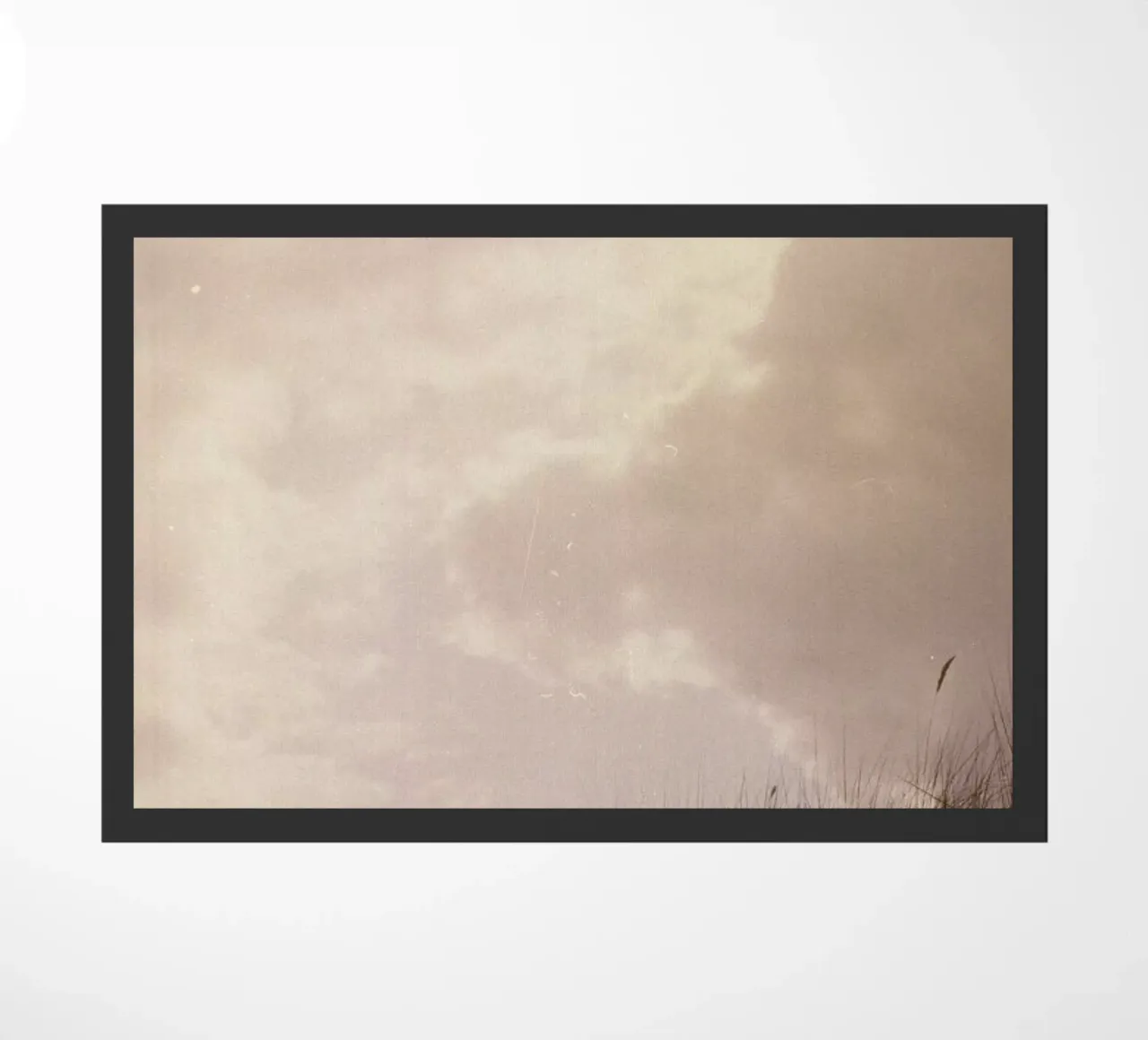 Para León zerbino da Picture On The Fridge