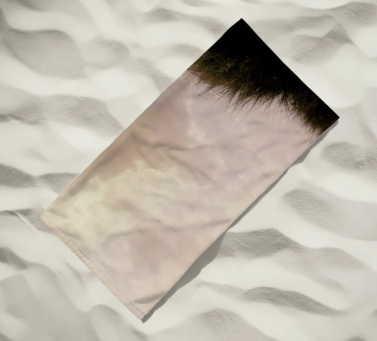 Para León telo mare da Picture On The Fridge