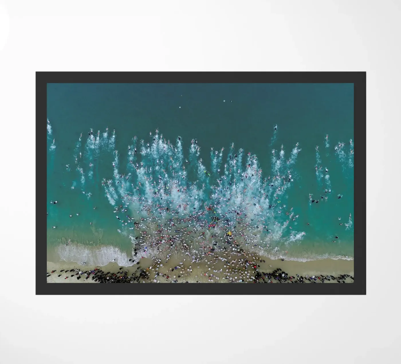 Diving in zerbino da EyeEm Mobile GmbH