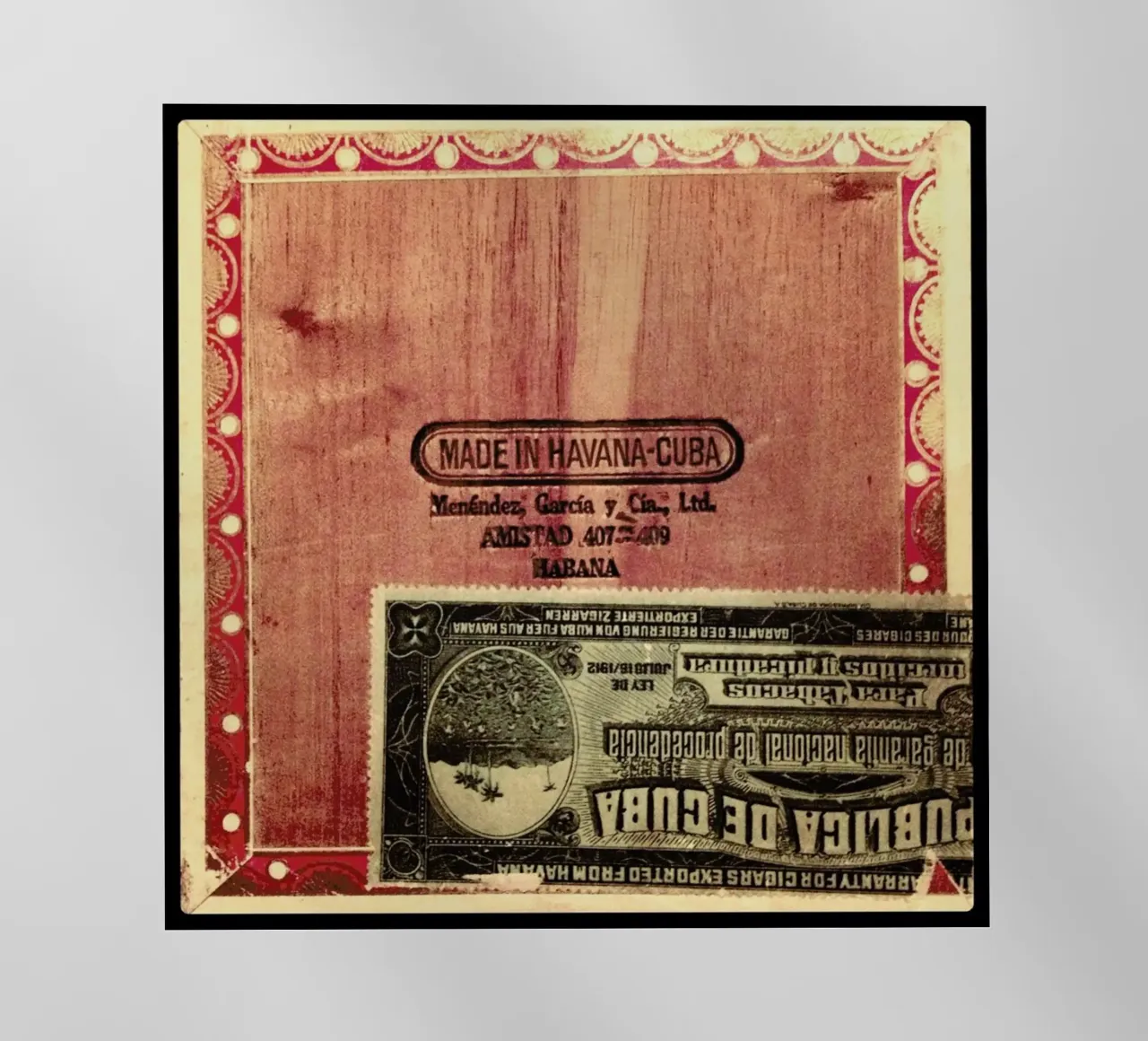 Cuban Rose pellicola backlit da Ballack Art House