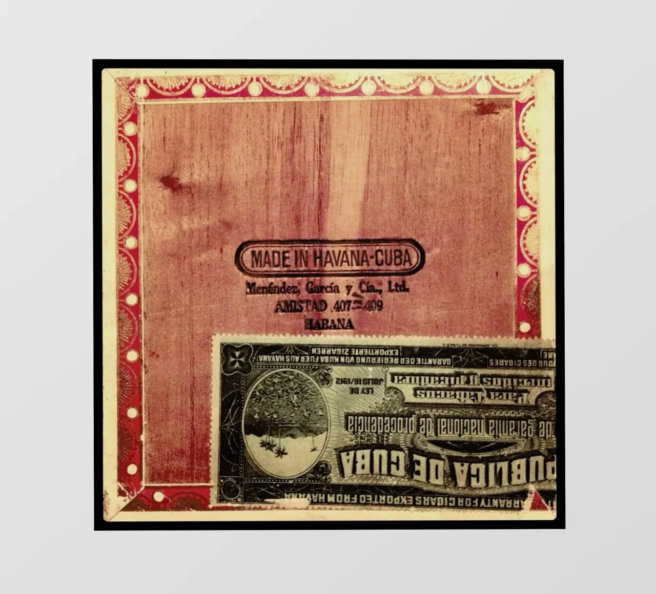 Cuban Rose pellicola backlit da Ballack Art House