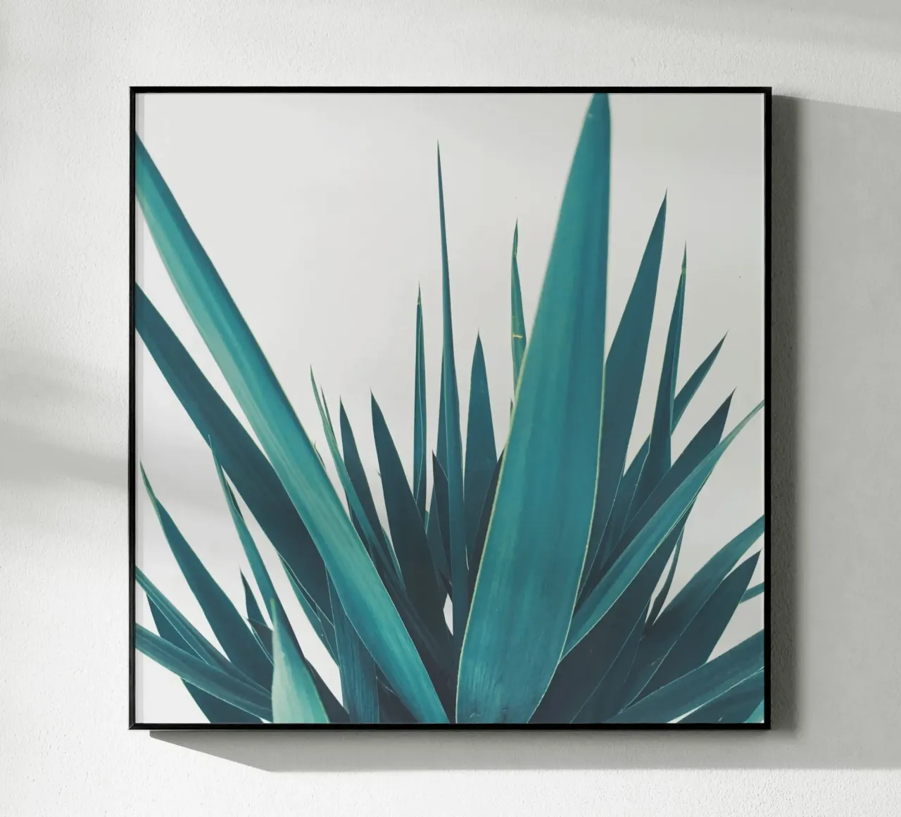 Yucca Leaves plexiglass da Cassia Beck Photography