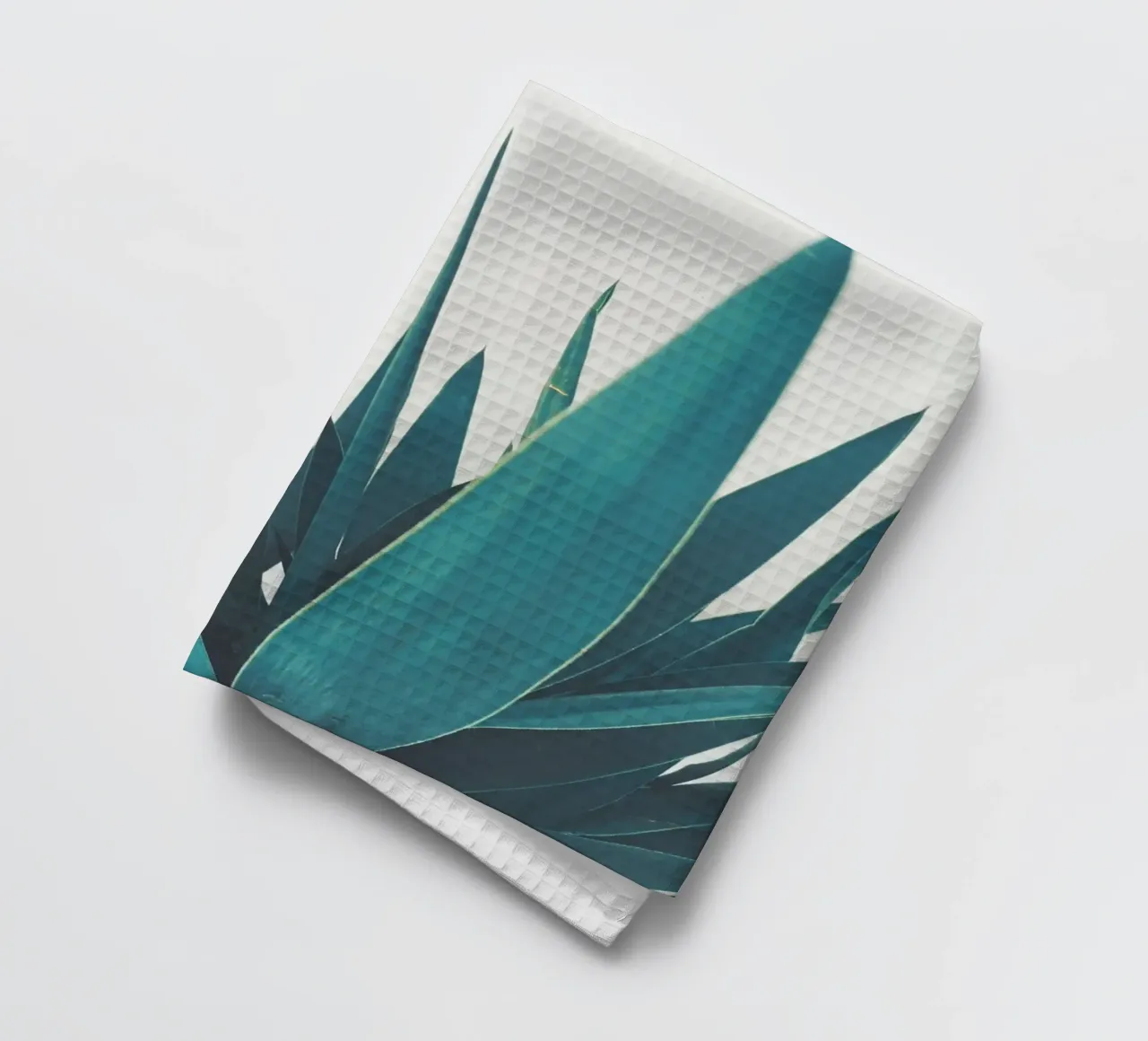 Feuilles de yucca torchon de Cassia Beck Photography