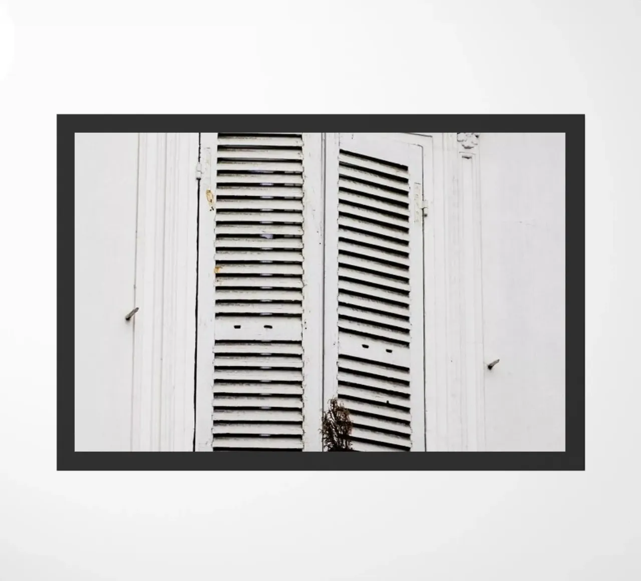 Yes Please zerbino da Babett Schultze