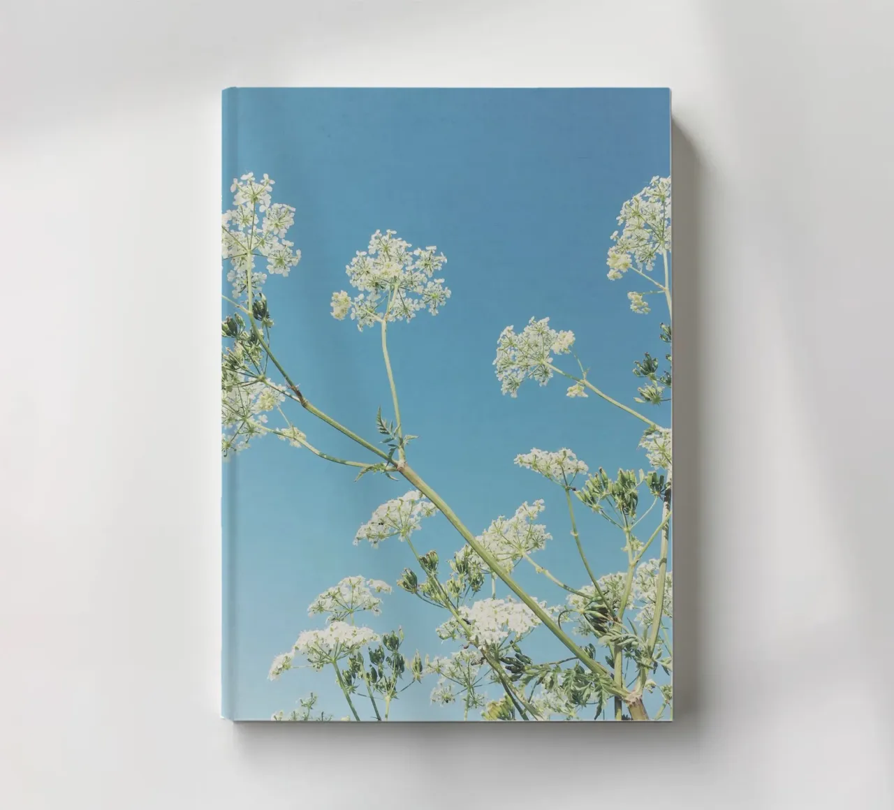 Whisper notebook by Cassia Beck Photography