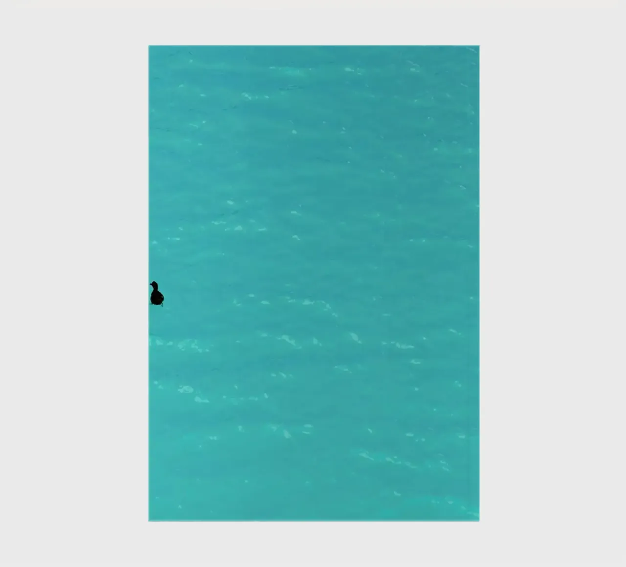 Duck On Water notebook by Nur Mut