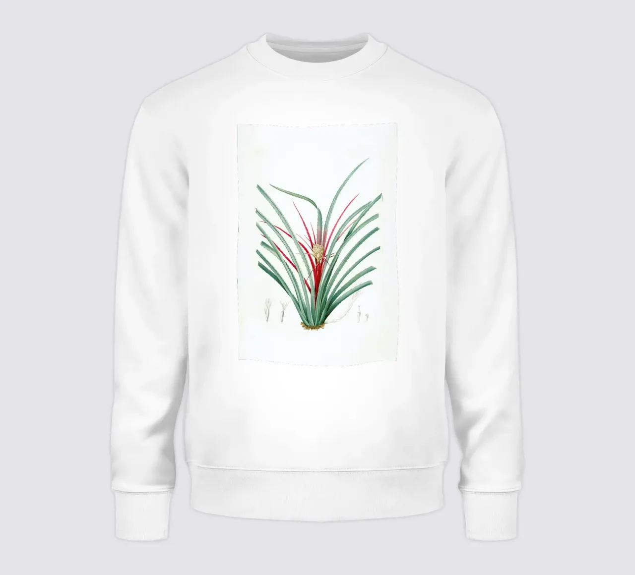 Bromella Karatas, Karatas Plumieri, Ananas karatas -Pierre Joseph sudadera de Artokoloro Quint Lox Ltd