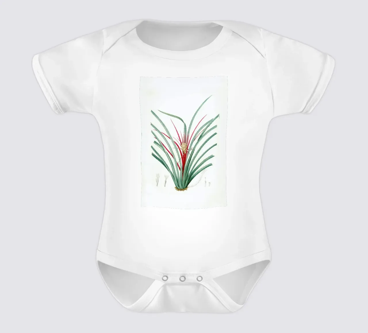 Bromella Karatas, Karatas Plumieri, Ananas karatas -Pierre Joseph body neonato maniche corte da Artokoloro Quint Lox Ltd