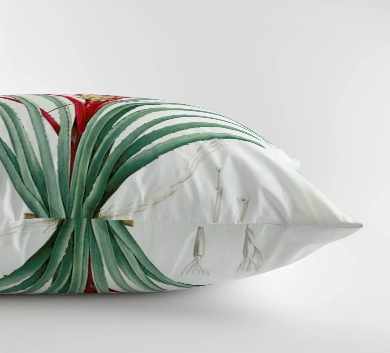 Bromella Karatas, Karatas Plumieri, Ananas karatas -Pierre Joseph cuscino da Artokoloro Quint Lox Ltd