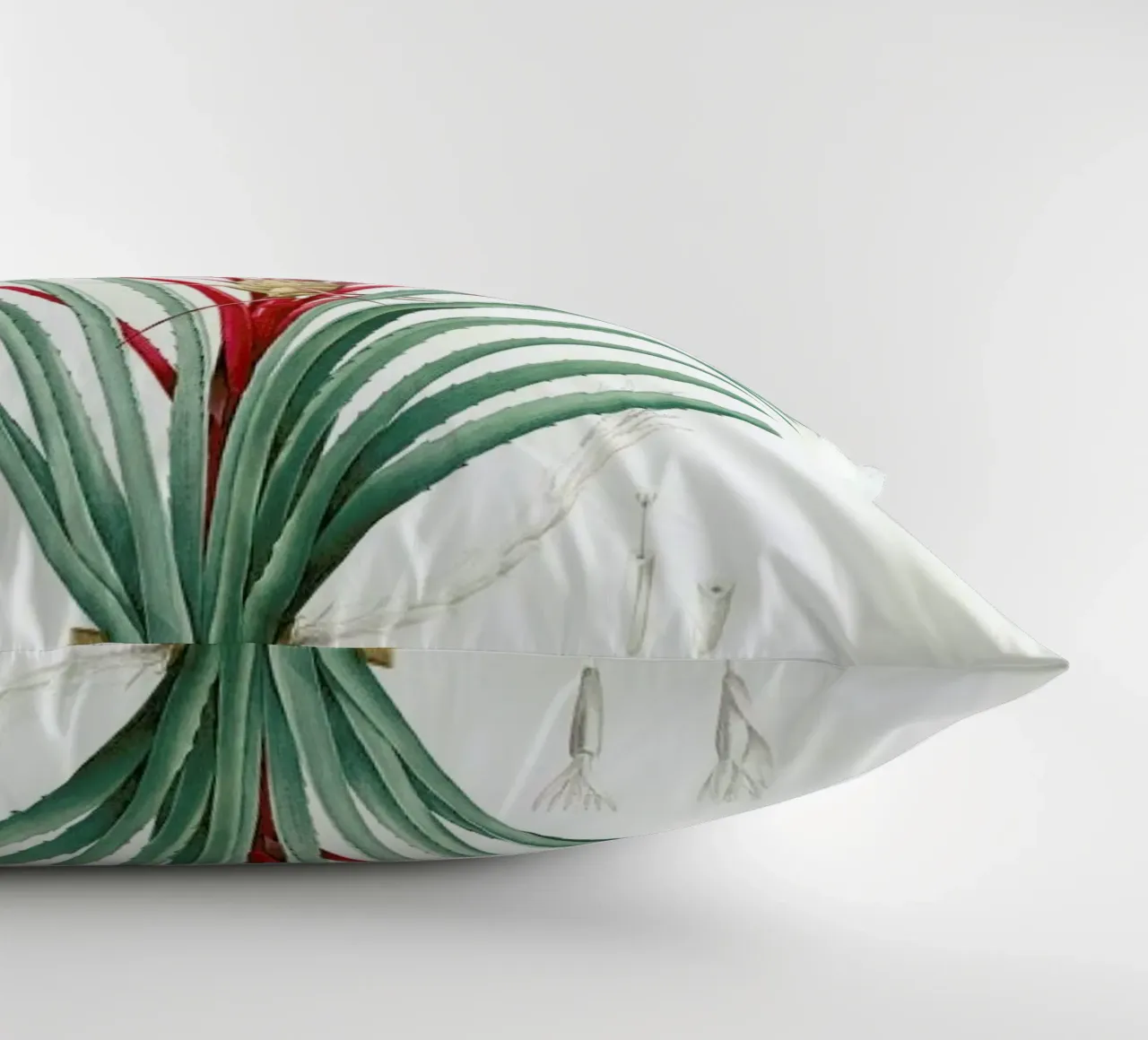 Bromella Karatas, Karatas Plumieri, Ananas karatas -Pierre Joseph cojín de Artokoloro Quint Lox Ltd