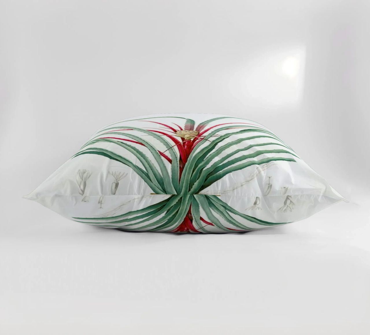 Bromella Karatas, Karatas Plumieri, Ananas karatas -Pierre Joseph cuscino da Artokoloro Quint Lox Ltd