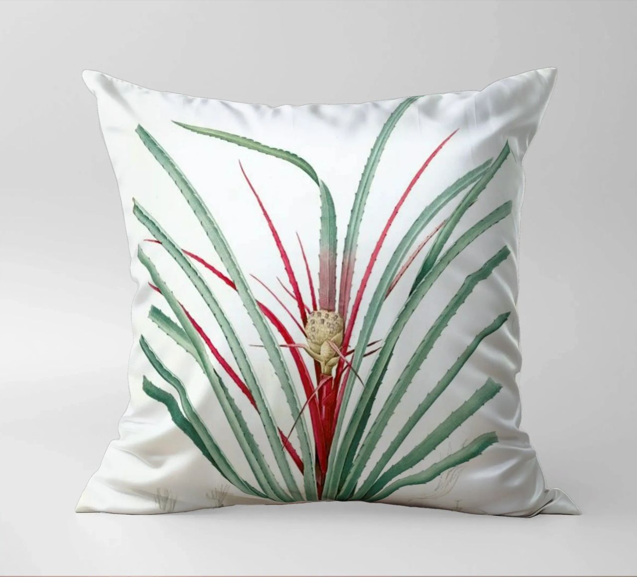 Bromella Karatas, Karatas Plumieri, Ananas karatas -Pierre Joseph cuscino da Artokoloro Quint Lox Ltd