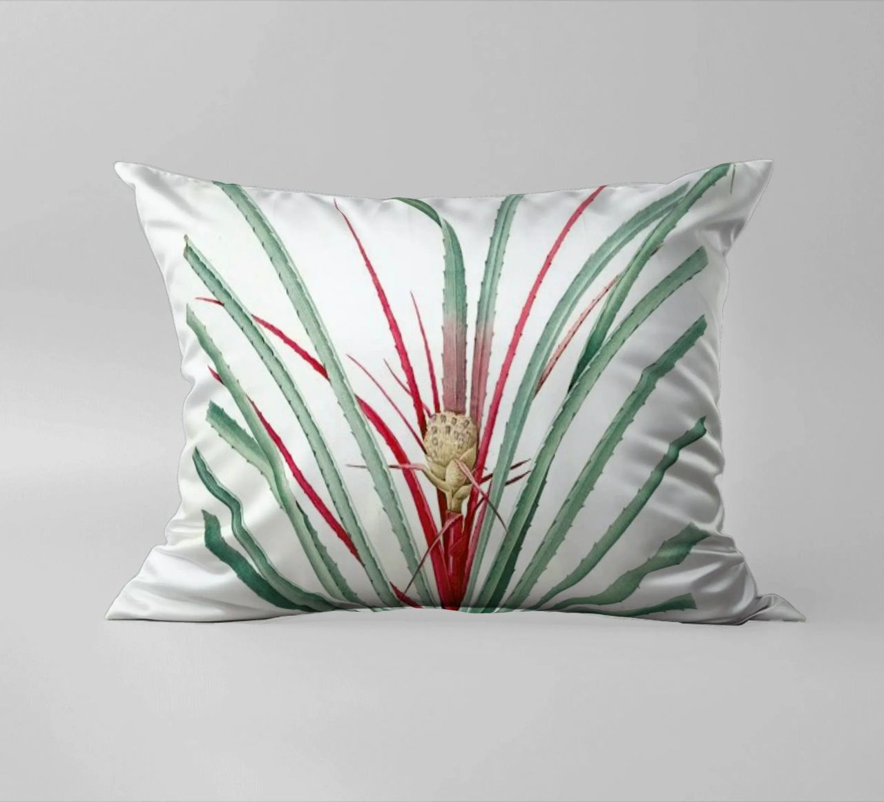 Bromella Karatas, Karatas Plumieri, Ananas karatas -Pierre Joseph cuscino da Artokoloro Quint Lox Ltd