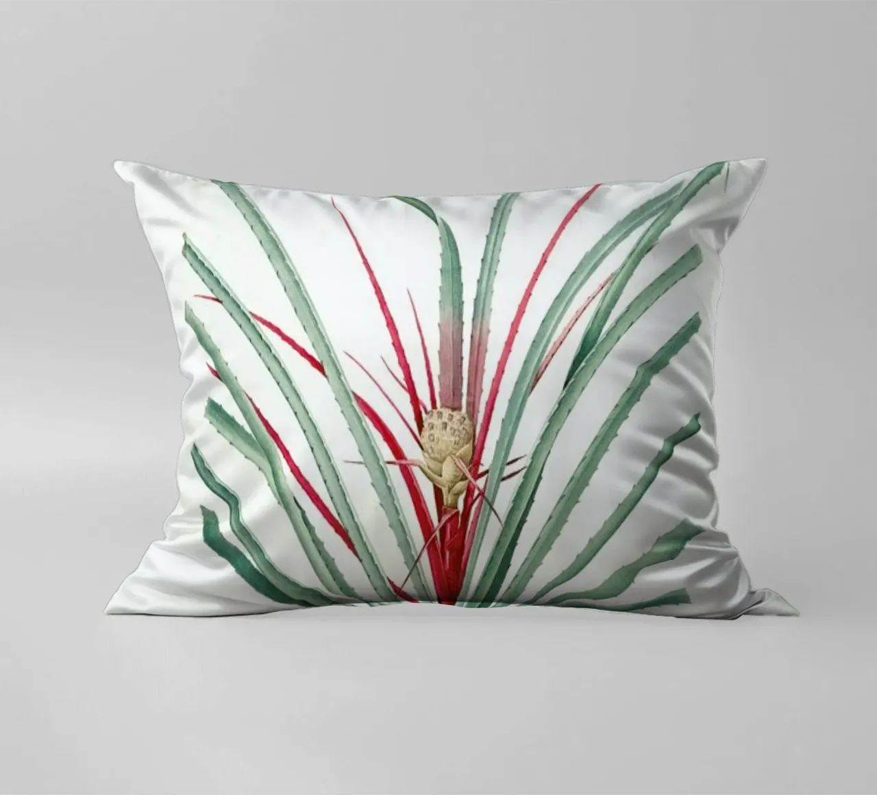 Bromella Karatas, Karatas Plumieri, Ananas karatas -Pierre Joseph cuscino da Artokoloro Quint Lox Ltd
