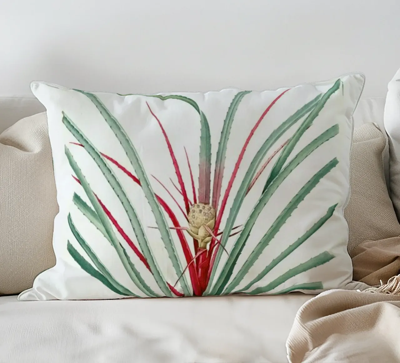 Bromella Karatas, Karatas Plumieri, Ananas karatas -Pierre Joseph cuscino da Artokoloro Quint Lox Ltd