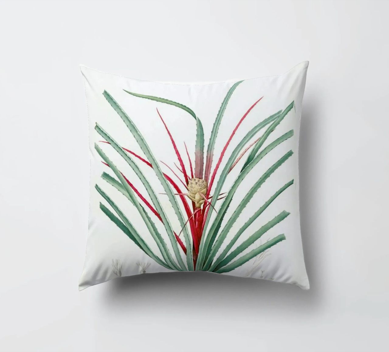 Bromella Karatas, Karatas Plumieri, Ananas karatas -Pierre Joseph cuscino da Artokoloro Quint Lox Ltd