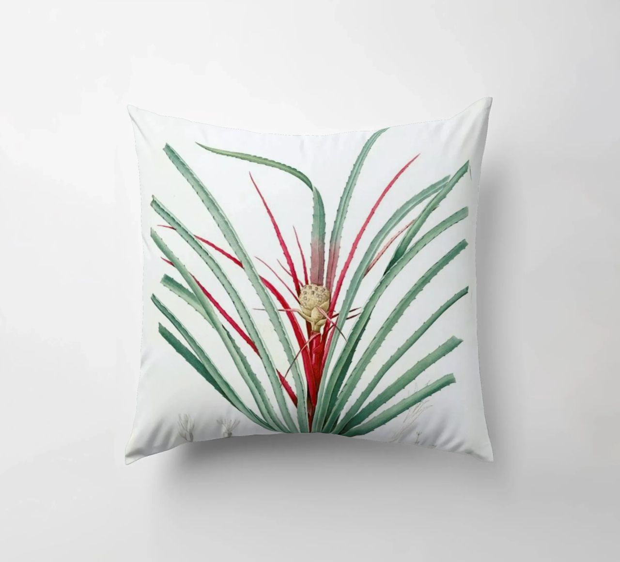 Bromella Karatas, Karatas Plumieri, Ananas karatas -Pierre Joseph cuscino da Artokoloro Quint Lox Ltd