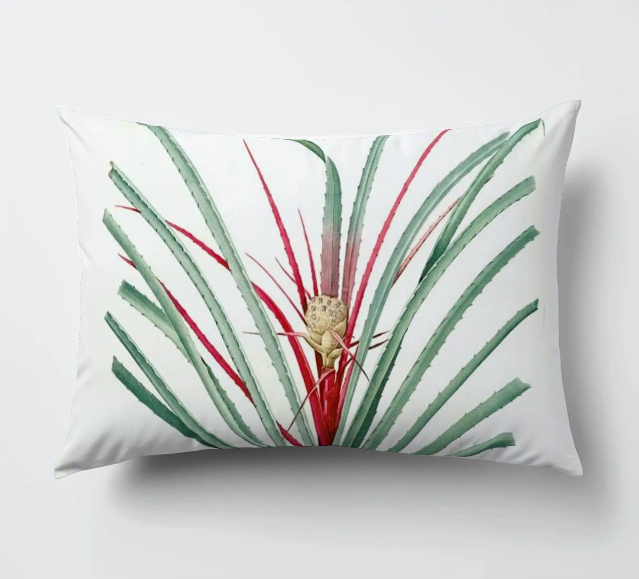 Bromella Karatas, Karatas Plumieri, Ananas karatas -Pierre Joseph cuscino da Artokoloro Quint Lox Ltd