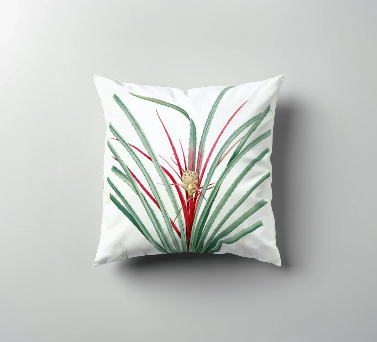 Bromella Karatas, Karatas Plumieri, Ananas karatas -Pierre Joseph cuscino da Artokoloro Quint Lox Ltd