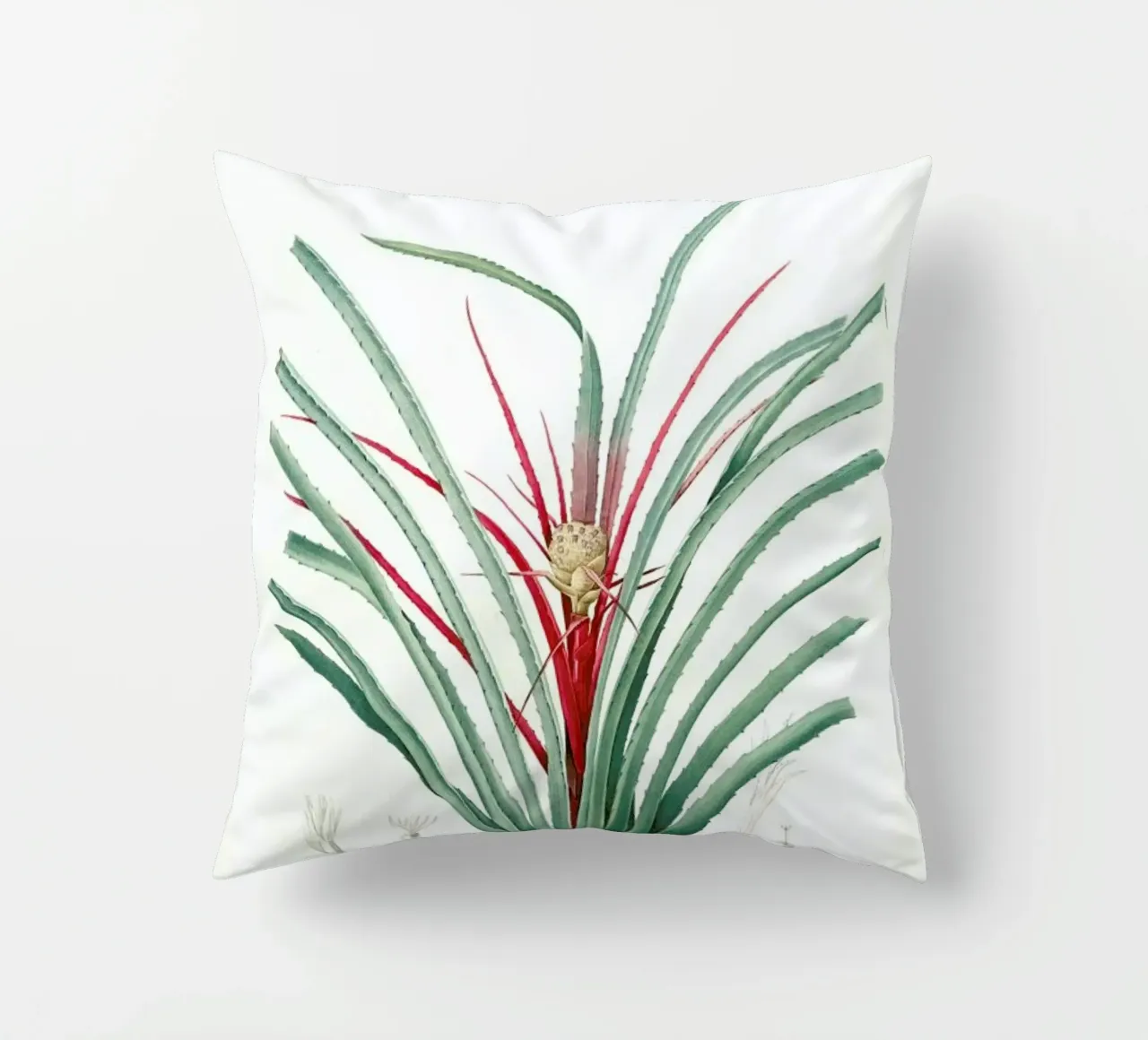 Bromella Karatas, Karatas Plumieri, Ananas karatas -Pierre Joseph cuscino da Artokoloro Quint Lox Ltd