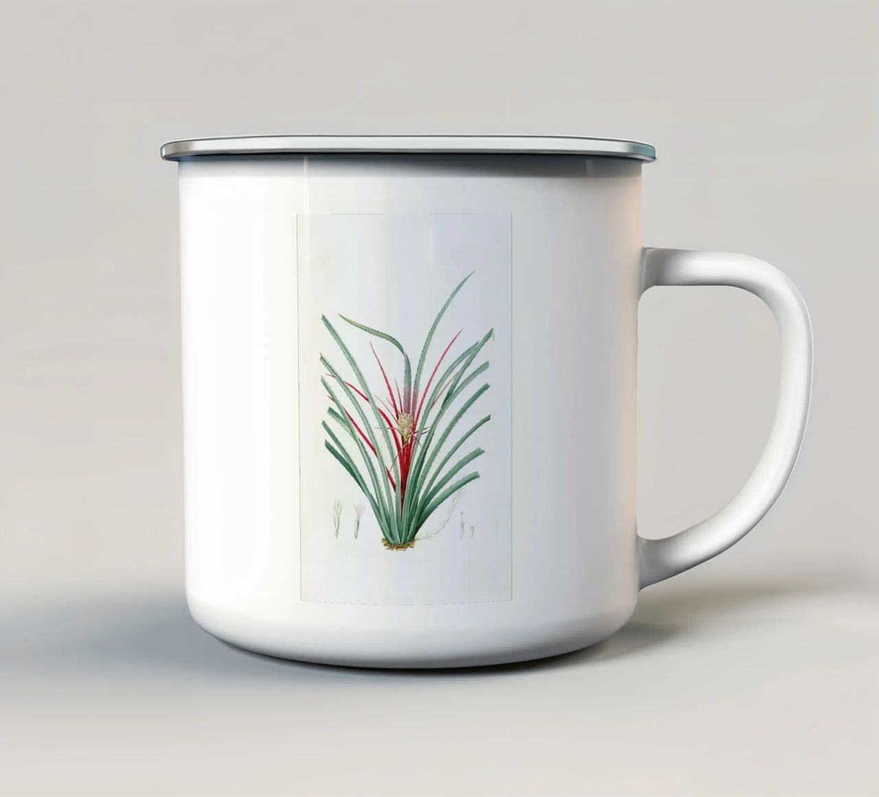 Bromella Karatas, Karatas Plumieri, Ananas karatas -Pierre Joseph tazza in smalto da Artokoloro Quint Lox Ltd