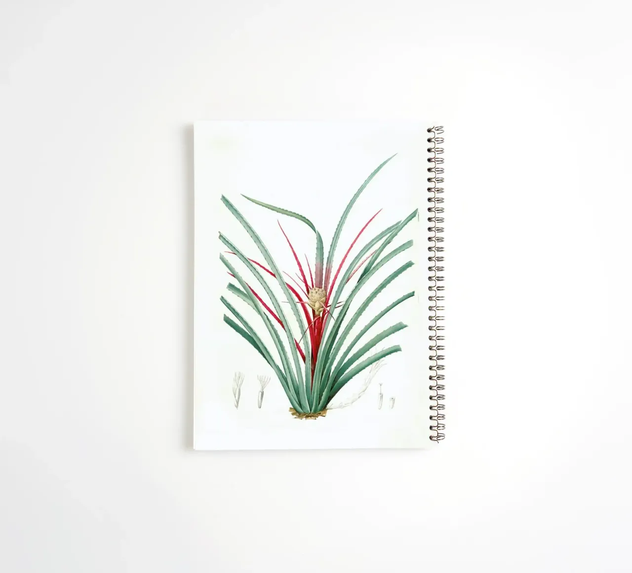 Bromella Karatas, Karatas Plumieri, Ananas karatas -Pierre Joseph spiral notebook by Artokoloro Quint Lox Ltd