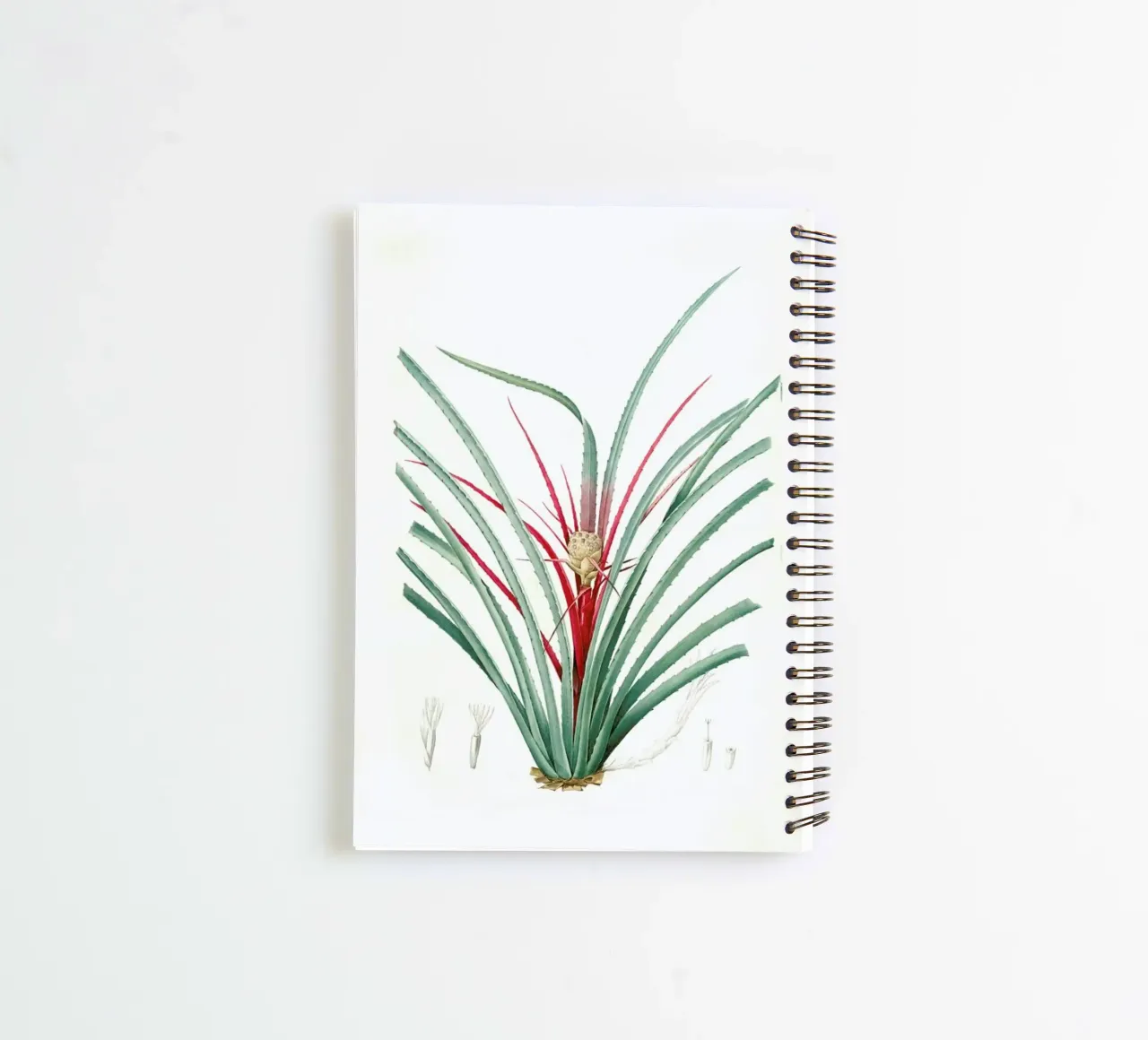 Bromella Karatas, Karatas Plumieri, Ananas karatas -Pierre Joseph spiral notebook by Artokoloro Quint Lox Ltd