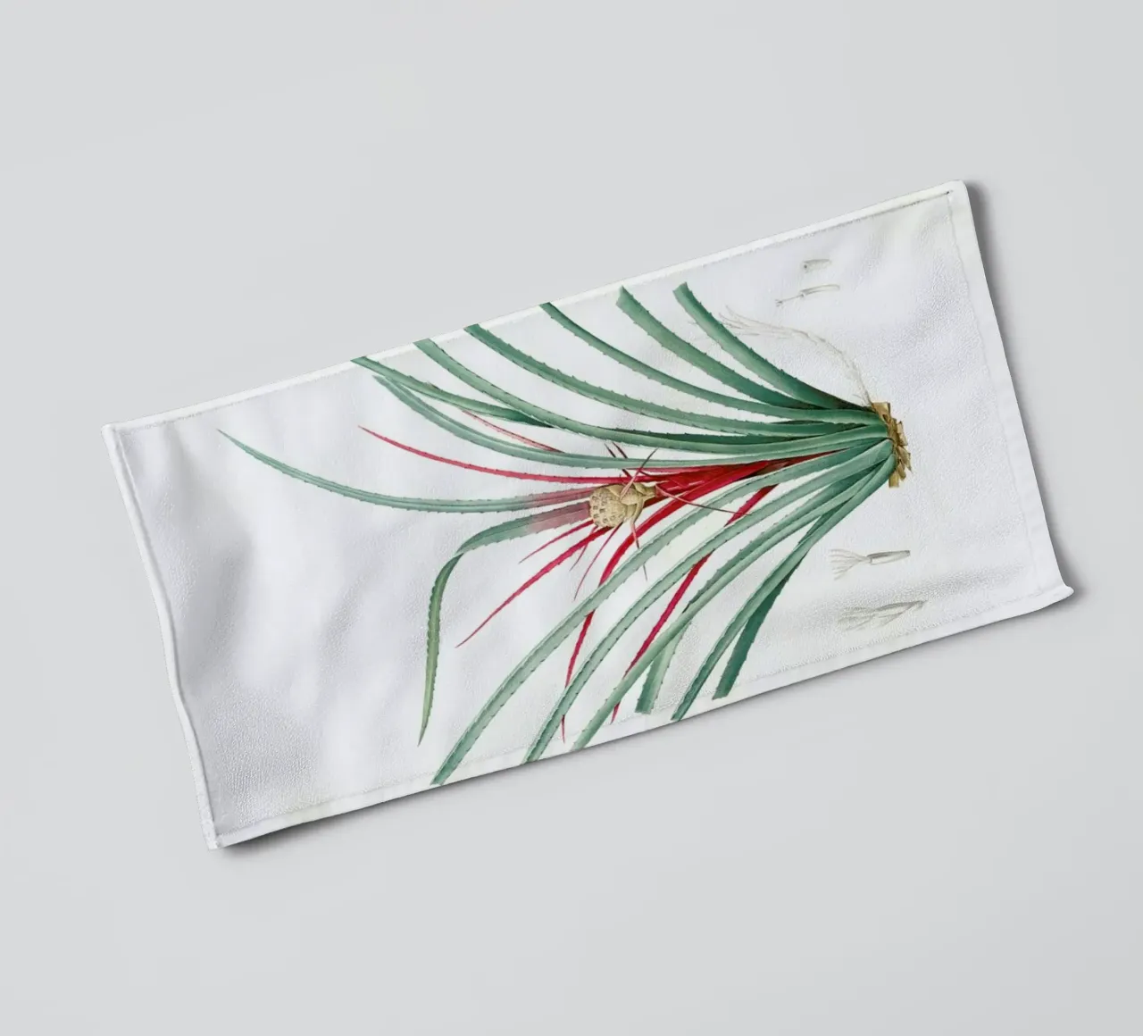 Bromella Karatas, Karatas Plumieri, Ananas karatas -Pierre Joseph asciugamano da bagno da Artokoloro Quint Lox Ltd