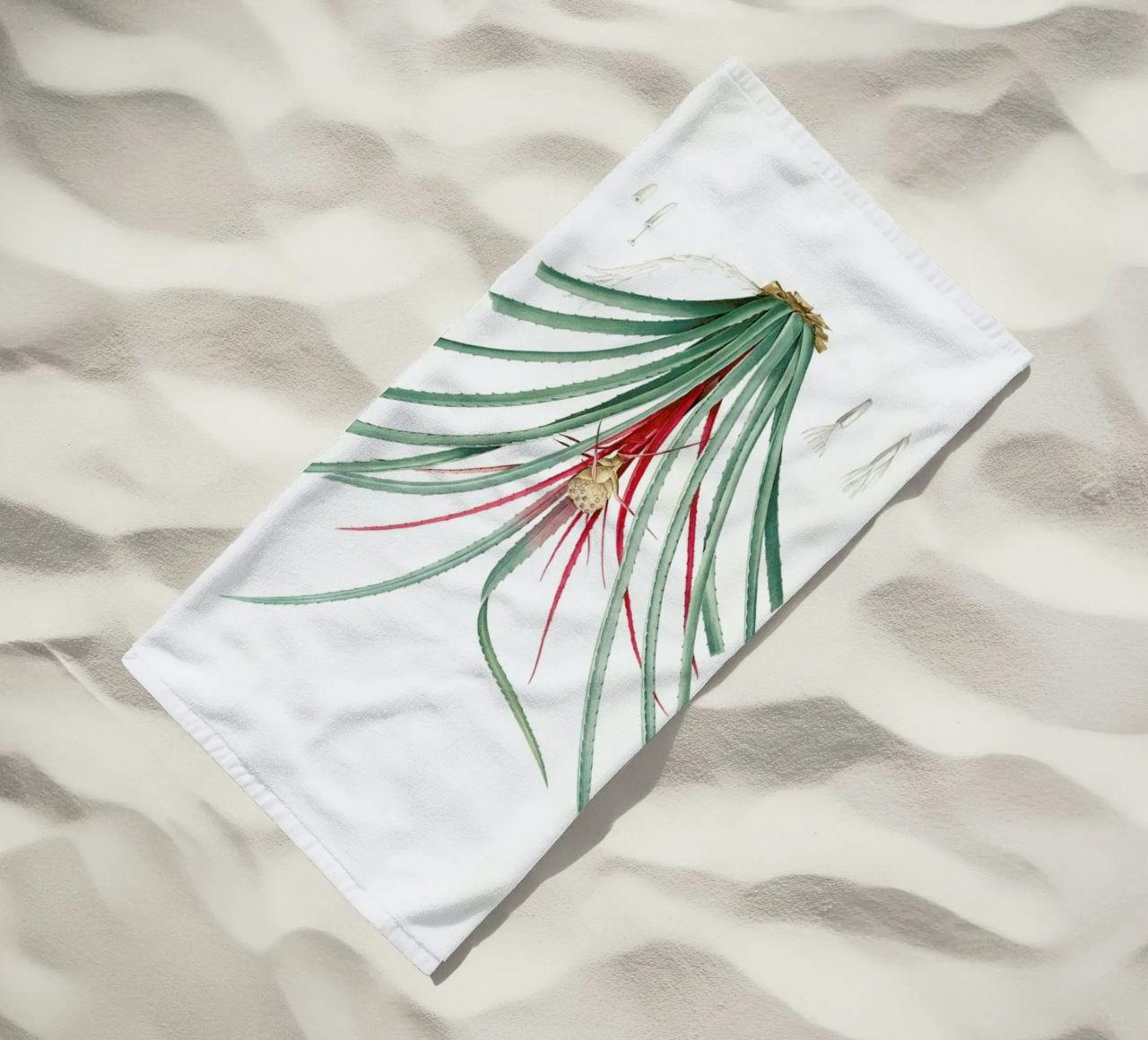 Bromella Karatas, Karatas Plumieri, Ananas karatas -Pierre Joseph telo mare da Artokoloro Quint Lox Ltd