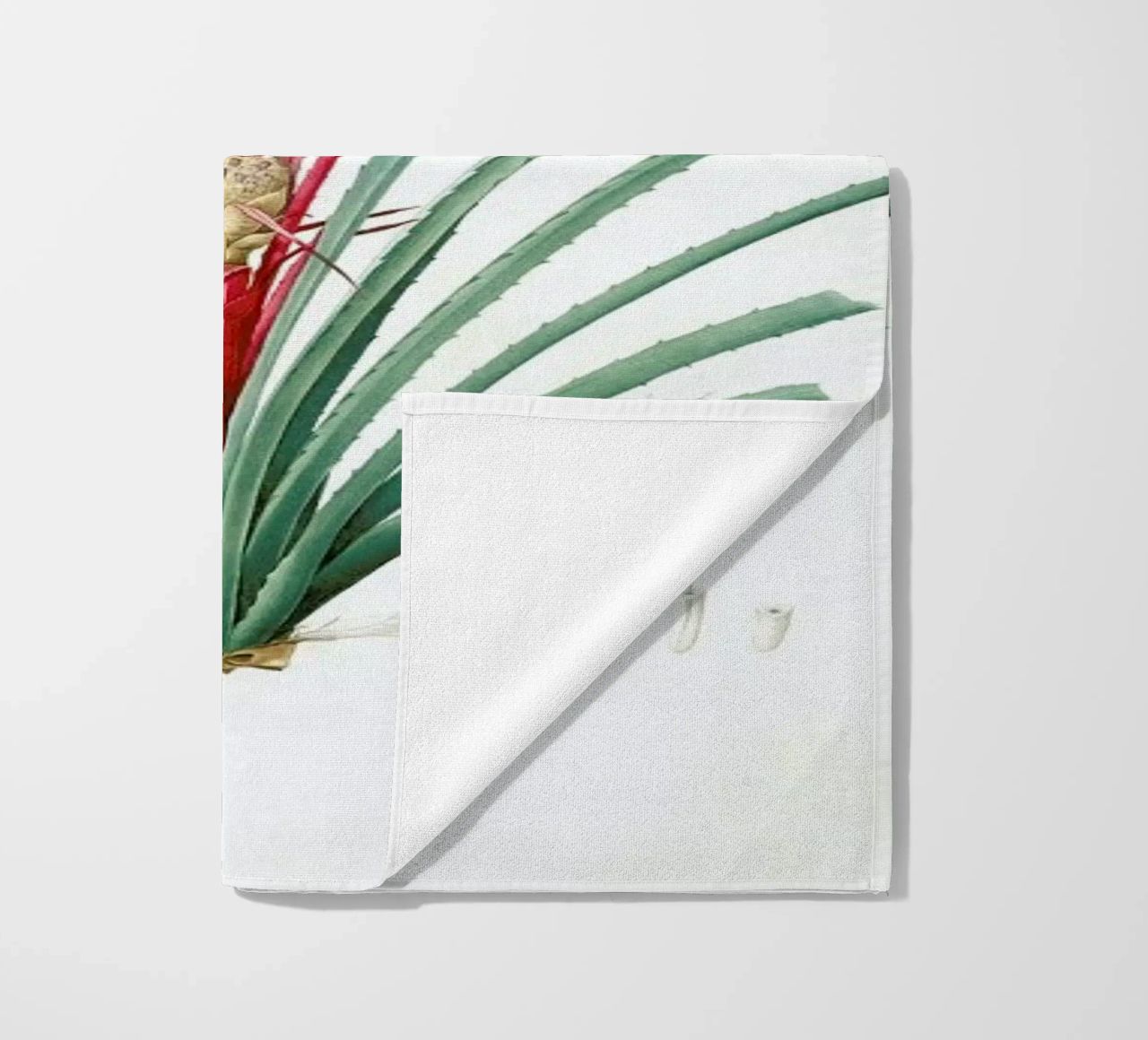 Bromella Karatas, Karatas Plumieri, Ananas karatas -Pierre Joseph telo mare da Artokoloro Quint Lox Ltd